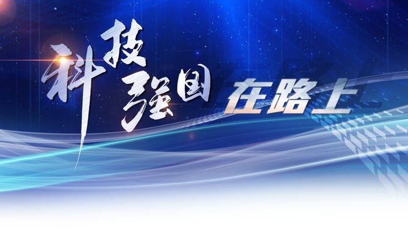 数据中台建设：揭秘批发代理背后的技术奥秘**